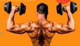 Bem Vindo ao blog Musculação