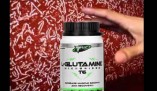 Saiba tudo sobre Glutamina